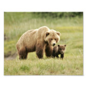 10 x 8 inch, Kodak Professional-fotopapier (Satin) Foto Afdruk (Voorkant)