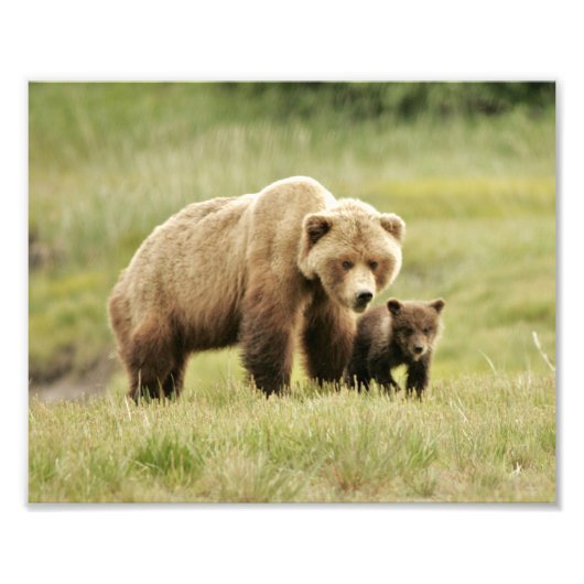 10 x 8 inch, Kodak Professional-fotopapier (Satin) Foto Afdruk (Voorkant)