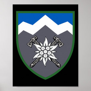 10e Berg-Ault-brigade (Oekraine) Oekraïense Mil Poster
