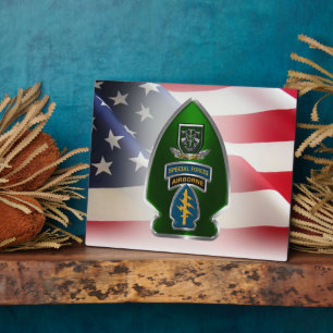 10e Plaque Special Forces Group (AIRBORNE) Fotoplaat