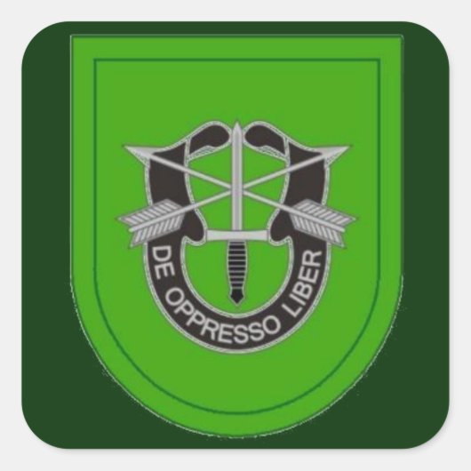 10e Special Forces Grp Flash DUI Stickers (Voorkant)