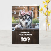 10th Birthday Cute and Funny Husky in a Tub Kaart (Gele Bloem)