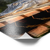 10x8 Alligator bij Homosassa Springs Wildlife Stat Foto Afdruk (Hoek)