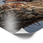 10x8 American Mink Foto Afdruk (Hoek)