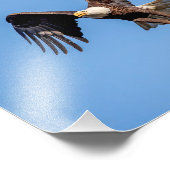 10x8 Bald Eagle met een vis Foto Afdruk (Hoek)