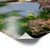 10x8 Bald Eagle met het nest Foto Afdruk (Hoek)