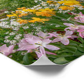 10x8 Colorful Spring Flowers in volle bloei Poster (Hoek)