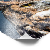 10x8 Great Horned Owl Portret Foto Afdruk (Hoek)