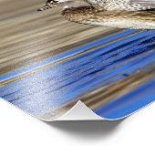 10x8 Hout Duck flapt haar vleugels Foto Afdruk (Hoek)