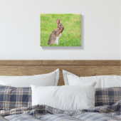10x8 Konijn die in het gras staat en er verlegen u Canvas Afdruk (Insitu (Slaapkamer))
