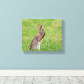 10x8 Konijn die in het gras staat en er verlegen u Canvas Afdruk (Insitu (Houten vloer))