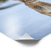 10x8 konijn in de sneeuw foto afdruk (Hoek)