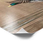 10x8 Mallard Duck in vlucht Foto Afdruk (Hoek)