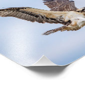 10x8 Osprey landing in het nest Foto Afdruk (Hoek)