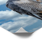 10x8 Peregrine Falcon langs de Hudson rivier Poster (Hoek)