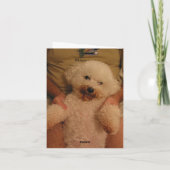 110-1042_IMG, Wow dit voelt geweldig! Kaart (Achterkant)