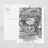 110-schermadelaar briefkaart (Voorkant / Achterkant)