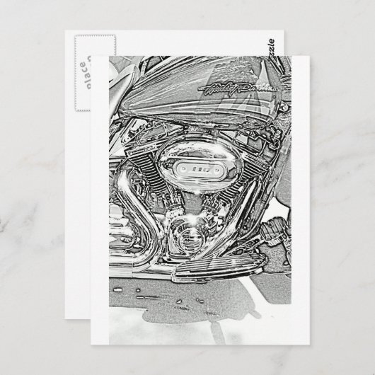 110-schermadelaar briefkaart (Voorkant / Achterkant)