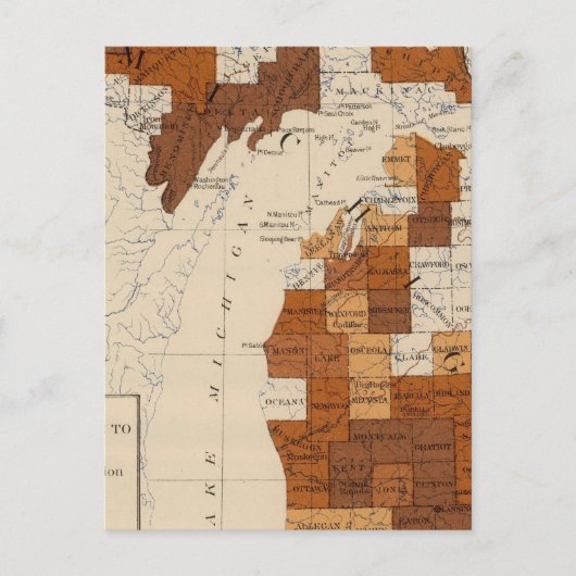 110 Typhoïde koorts Michigan Briefkaart (Voorkant)