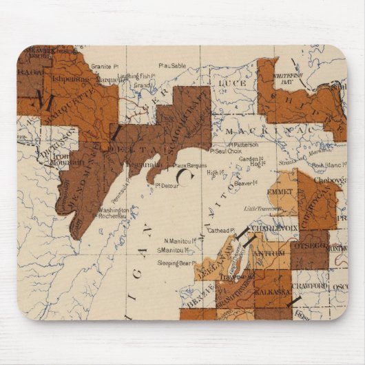 110 Typhoïde koorts Michigan Muismat (Voorkant)