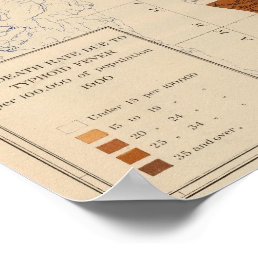 110 Typhoïde koorts Michigan Poster (Hoek)