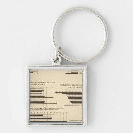 111 Doodpercentages 1900 Sleutelhanger (Voorkant)