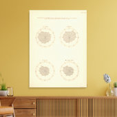 113 Sterfgevallen per maand 1900 Canvas Afdruk (Insitu (Woonkamer))