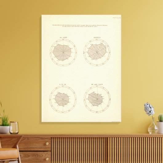 113 Sterfgevallen per maand 1900 Canvas Afdruk (Insitu (Woonkamer))