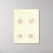 113 Sterfgevallen per maand 1900 Canvas Afdruk (Voorkant)