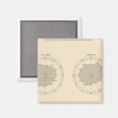 113 Sterfgevallen per maand 1900 Magneet (Voorkant / Achterkant)