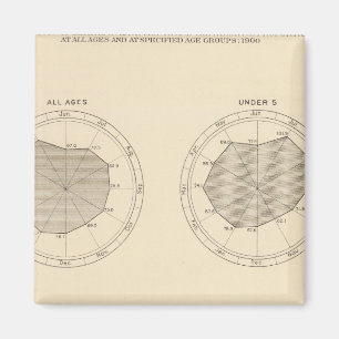 113 Sterfgevallen per maand 1900 Magneet