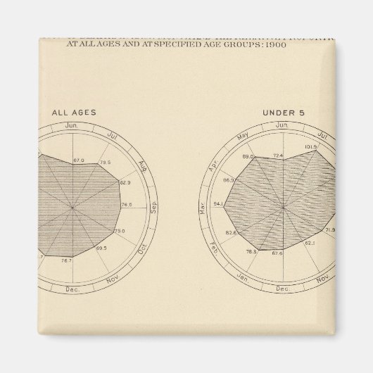113 Sterfgevallen per maand 1900 Magneet (Voorkant)
