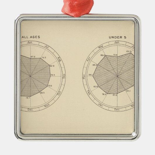 113 Sterfgevallen per maand 1900 Metalen Ornament (Voorkant)