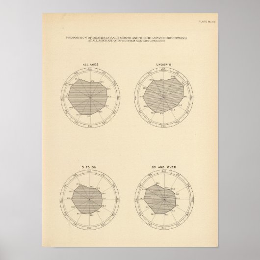 113 Sterfgevallen per maand 1900 Poster (Voorkant)