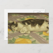 1149 Kat op kantelbaar Briefkaart (Voorkant / Achterkant)