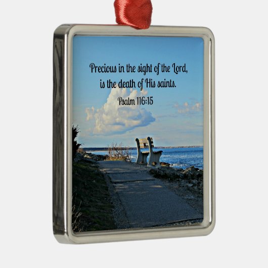 116:15 METALEN ORNAMENT (Rechts)