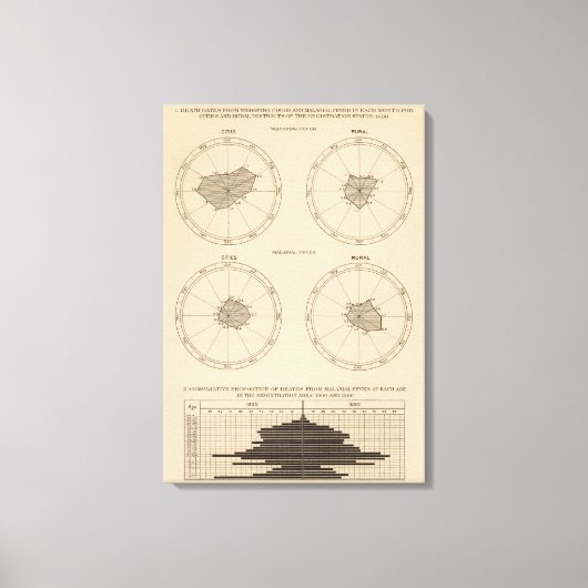 116 Doden kinkhoest Canvas Afdruk (Voorkant)