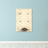 116 Doden kinkhoest Canvas Afdruk (Insitu (Houten vloer))