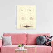 117 Sterfte influenza, tyfus koorts 1900, 1890 Canvas Afdruk (Insitu (Woonkamer))