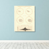 117 Sterfte influenza, tyfus koorts 1900, 1890 Canvas Afdruk (Insitu (Houten vloer))