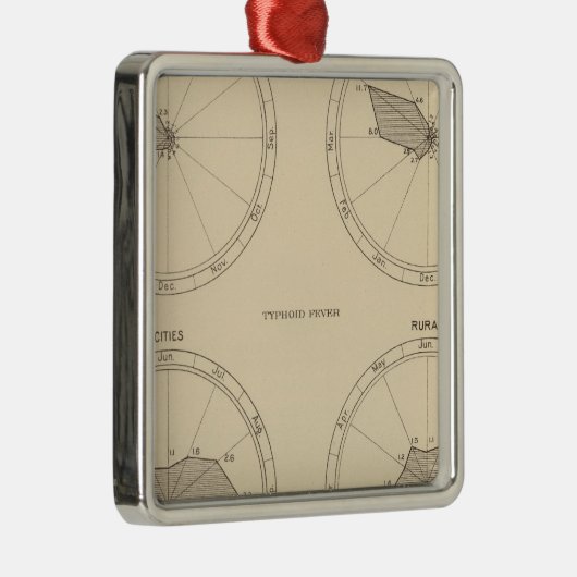 117 Sterfte influenza, tyfus koorts 1900, 1890 Metalen Ornament (Rechts)