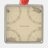 117 Sterfte influenza, tyfus koorts 1900, 1890 Metalen Ornament (Voorkant)