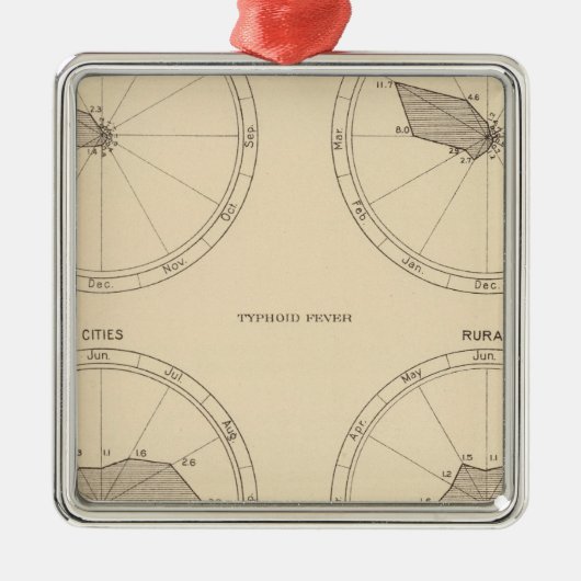 117 Sterfte influenza, tyfus koorts 1900, 1890 Metalen Ornament (Voorkant)