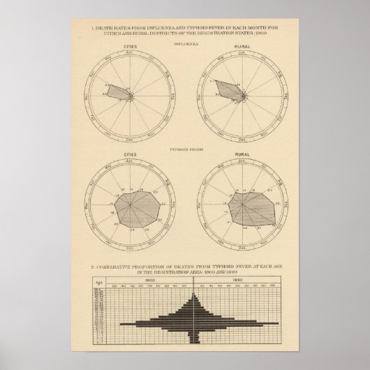 117 Sterfte influenza, tyfus koorts 1900, 1890 Poster (Voorkant)