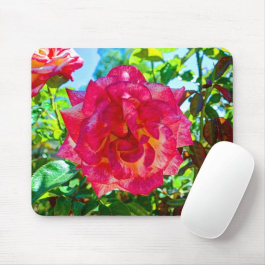 117HD roze Fusion-Roos Muismat (Met muis)