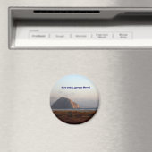 118, hier vandaag, ging naar Morro! Magneet (Insitu (Vaatwasser))