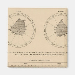 118 Sterfte cerebrospinale koorts Magneet
