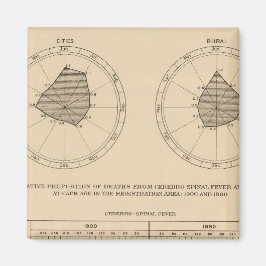 118 Sterfte cerebrospinale koorts Magneet (Voorkant)