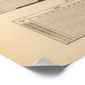 118 Sterfte cerebrospinale koorts Poster (Hoek)