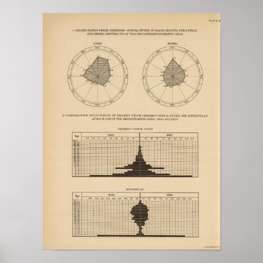 118 Sterfte cerebrospinale koorts Poster (Voorkant)